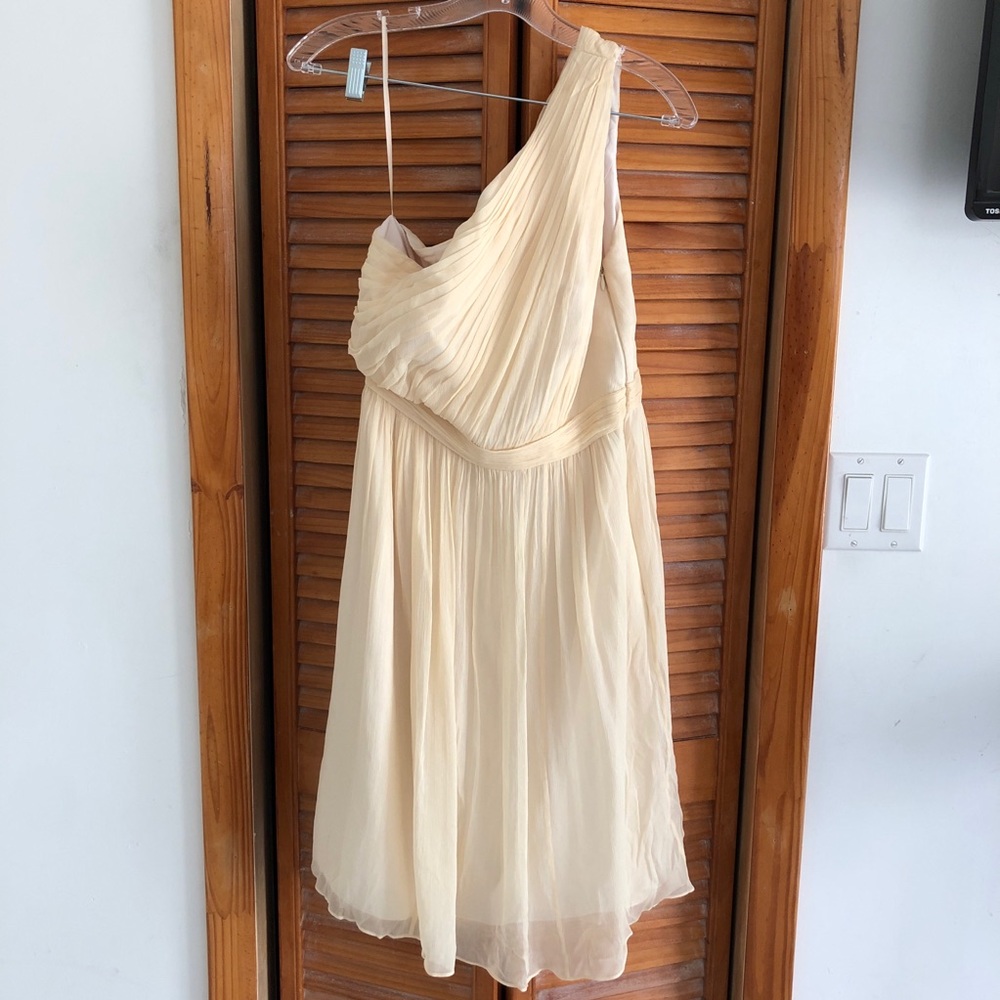 NEW J. Crew Chiffon Silk Kylie Dress Champagne Size 6 Tall (T6) - Picture 4 of 7
